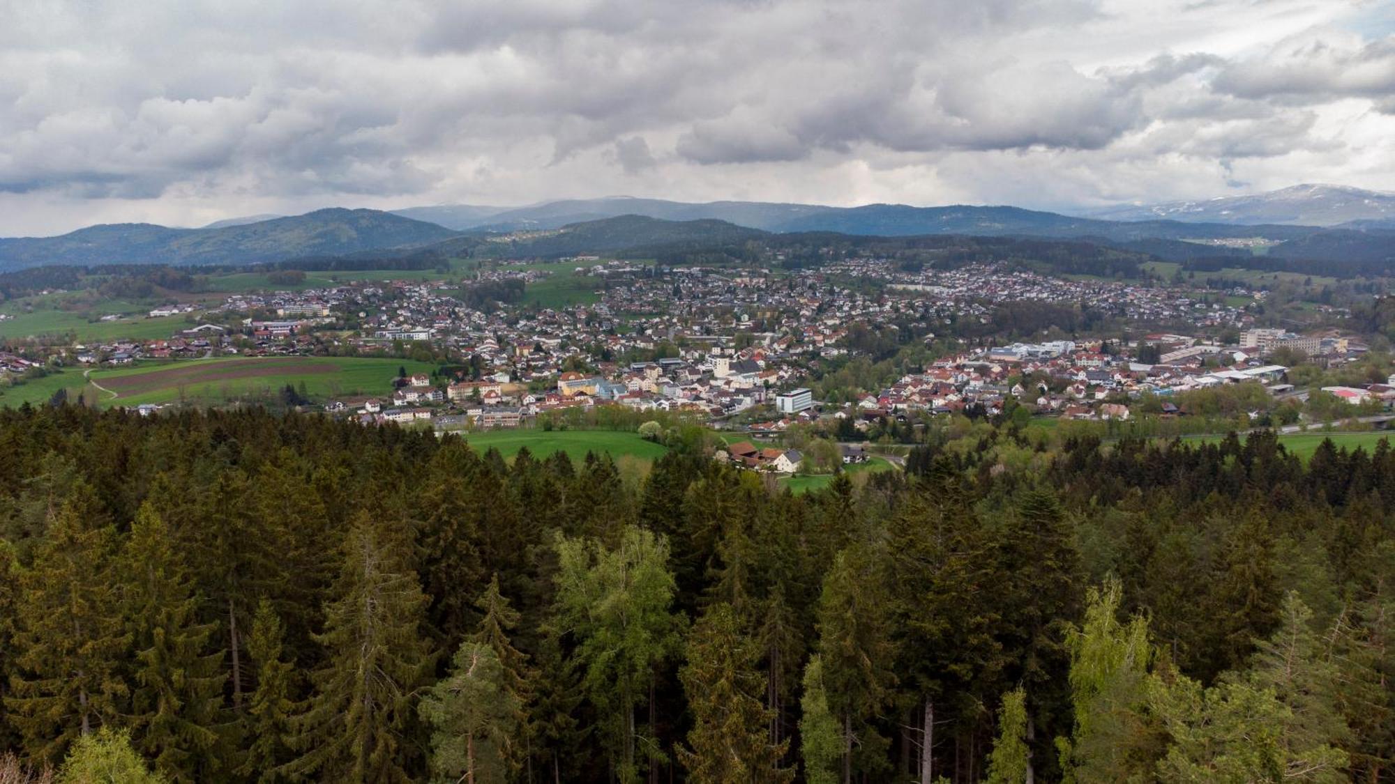 Bayerwaldchalet Реґен Екстер'єр фото